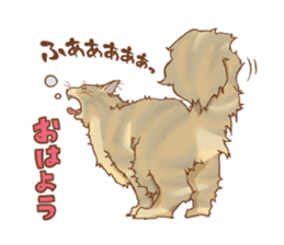 norwegian forest cat sticker #7533214