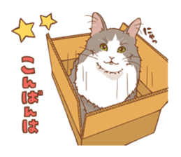 norwegian forest cat sticker #7533218