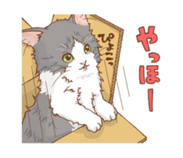 norwegian forest cat sticker #7533220