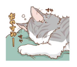 norwegian forest cat sticker #7533222