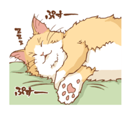 norwegian forest cat sticker #7533224