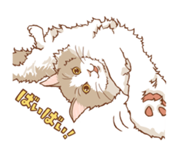 norwegian forest cat sticker #7533226