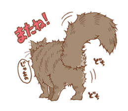 norwegian forest cat sticker #7533228