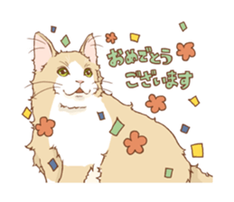 norwegian forest cat sticker #7533230