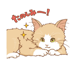 norwegian forest cat sticker #7533234