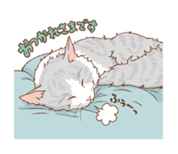 norwegian forest cat sticker #7533236