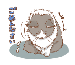 norwegian forest cat sticker #7533238
