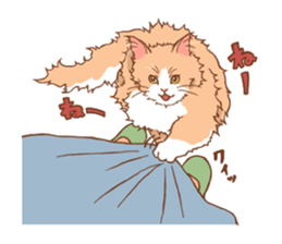 norwegian forest cat sticker #7533242