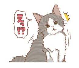 norwegian forest cat sticker #7533244