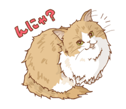 norwegian forest cat sticker #7533246