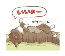 norwegian forest cat sticker #7533247