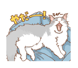 norwegian forest cat sticker #7533248