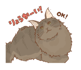norwegian forest cat sticker #7533250