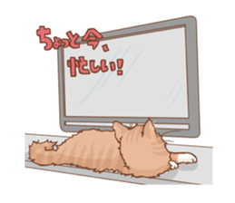 norwegian forest cat sticker #7533251