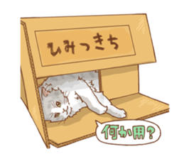 norwegian forest cat sticker #7533252