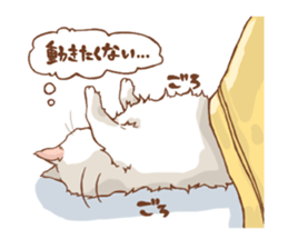 norwegian forest cat sticker #7533254