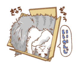 norwegian forest cat sticker #7533255