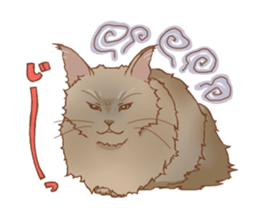 norwegian forest cat sticker #7533259