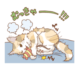 norwegian forest cat sticker #7533260