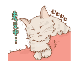 norwegian forest cat sticker #7533261