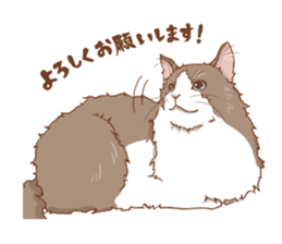 norwegian forest cat sticker #7533262