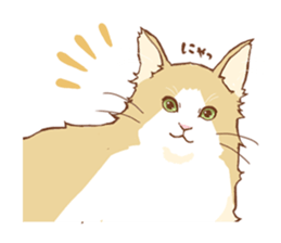norwegian forest cat sticker #7533266