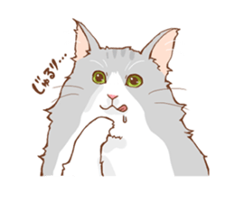 norwegian forest cat sticker #7533267