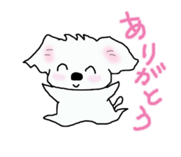 Healing Maltese George sticker #7533442