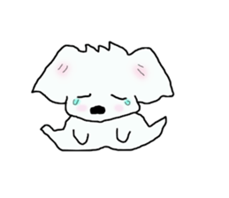 Healing Maltese George sticker #7533444