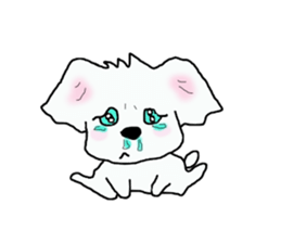 Healing Maltese George sticker #7533460