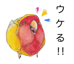 Pico of the lovebird sticker #7535593