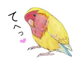 Pico of the lovebird sticker #7535612