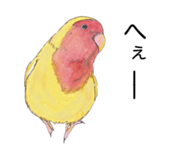 Pico of the lovebird sticker #7535615