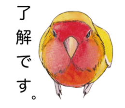 Pico of the lovebird sticker #7535620
