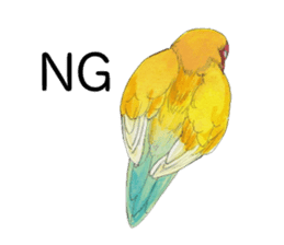 Pico of the lovebird sticker #7535622