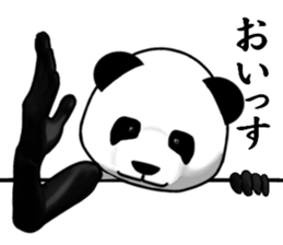 a man called PANDA sticker #7535867