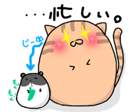 busy cat. sticker #7538133