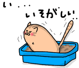 busy cat. sticker #7538144