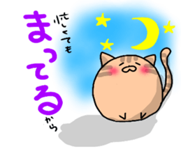 busy cat. sticker #7538153