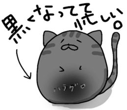 busy cat. sticker #7538166