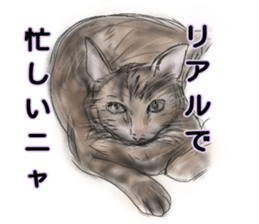 busy cat. sticker #7538168