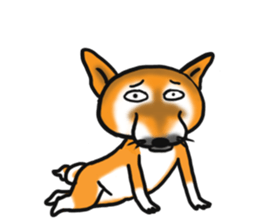 Shiba dog PanPan's normal life 2 sticker #7539016