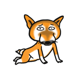 Shiba dog PanPan's normal life 2 sticker #7539016