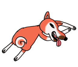 Shiba dog PanPan's normal life 2 sticker #7539017