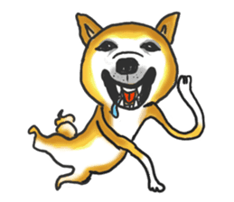 Shiba dog PanPan's normal life 2 sticker #7539018