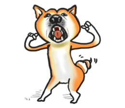 Shiba dog PanPan's normal life 2 sticker #7539019