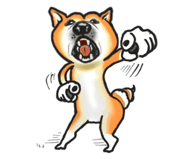 Shiba dog PanPan's normal life 2 sticker #7539020