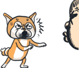 Shiba dog PanPan's normal life 2 sticker #7539024