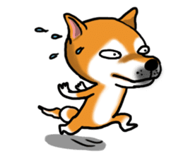 Shiba dog PanPan's normal life 2 sticker #7539025