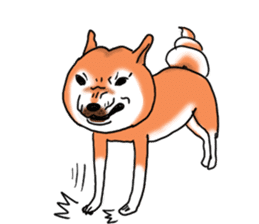 Shiba dog PanPan's normal life 2 sticker #7539026